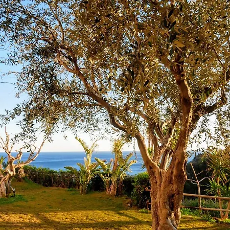 토레 산탄젤로 Forio di Ischia